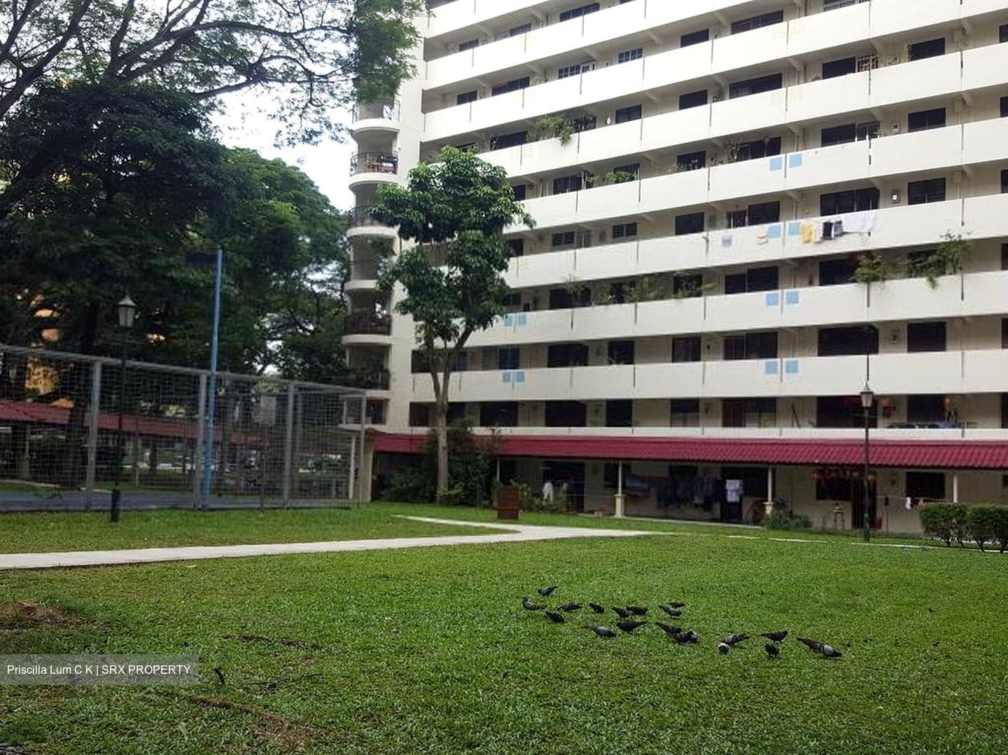Blk 25 Toa Payoh East (Toa Payoh), HDB 3 Rooms #444846381